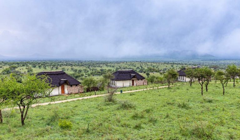 serengeti lodge