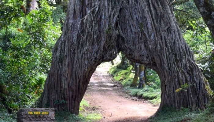 Arusha National Park