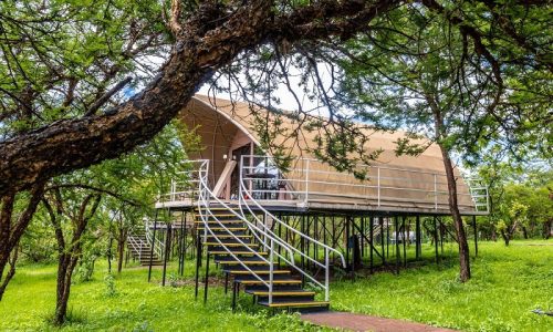 Ngorongoro Safari LodgeTWA 2