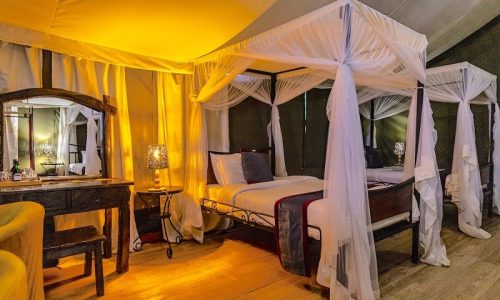 Ngorongoro Wild Camp TWA2