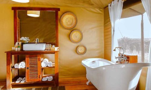 matawi serengeti camp5