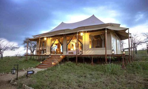 matawi serengeti camp6