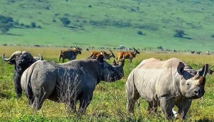 ngorongoro crater-01